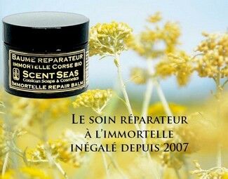 baume réparateur immortelle soin visage à l'immortelle