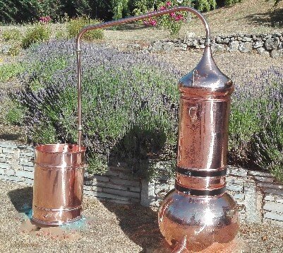 Alambic traditionnel en cuivre Scentseas, distillation helichryse corse