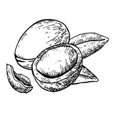 huile d argan scentseas cicatrisante, combat l'acné, peaux sèches, hydrate, assouplit, nourrit, anti rides, et protège la peau et les cheveux (les assouplit et les rend brillants) des agressions extérieures et du soleil, soulage les symptômes liés aux démangeaisons des dermatoses