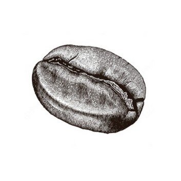 beurre de café puissant stimulant, revitalise, raffermit agit sur la cellulite et la peau d'orange, réactive la microcirculation sanguine; très concentrée en acide chlorogénique, agit sur les cernes et décongestionne