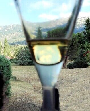 distillation fleur immortelle corse scentseas essencier