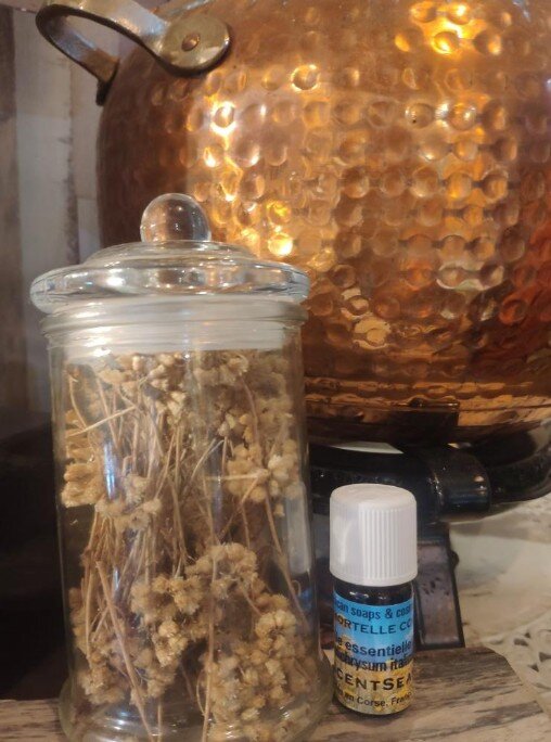 huile essentielle immortelle corse corsica