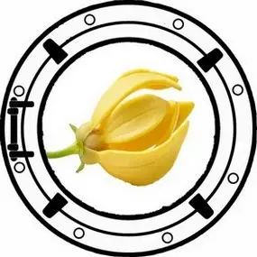 ylang ylang